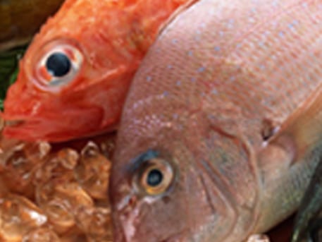 Морепродукты